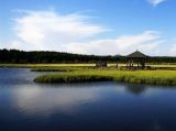 【大美中国】塞罕坝国家森林公园