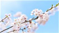 军民融合与“四个意识”的关系