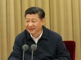 中国特色社会主义的新阶段