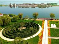 盐碱荒地变身“城市绿肺”