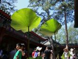 避暑山庄：避暑旅游好去处