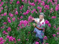 农民增收：发展“美丽产业”