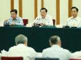 张德江出席全国人大常委会联组会议