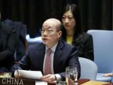 中国代表阐明中国维和立场