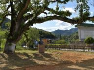 掠影：从秋收起义到井冈山