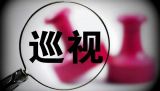 用好巡视反腐“利剑” 永葆党的“肌体”健康