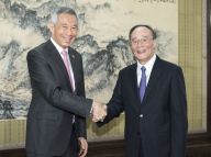 王岐山会见新加坡总理李显龙