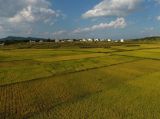 【大美中国】云南马龙田野画卷