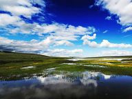 中国十大国家公园体制试点