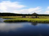 生态文明：美丽中国新图景