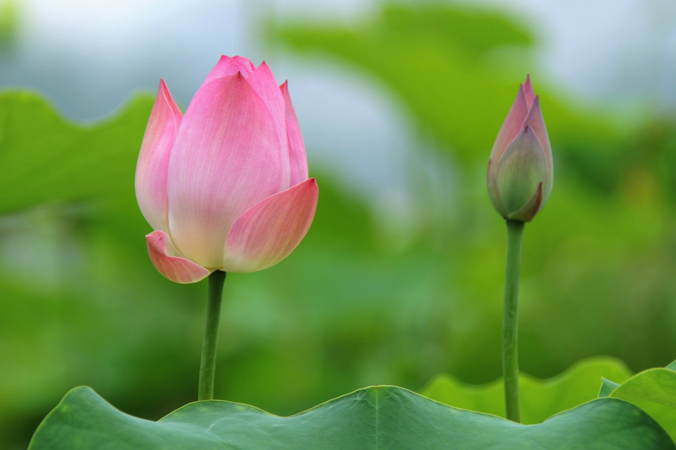 禅语(2) 幽默故事 轻松一刻 文化博览 宣讲家网