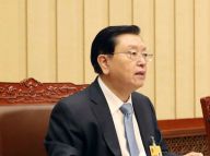 张德江主持全国人大常委会全体会议