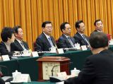张德江主持全国人大联组会议