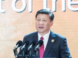 【精彩图集】APEC会议：习近平的岘港时间