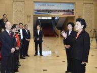 刘延东看望援外医疗队员代表