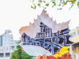 创意：巧手绘落叶 秋意满校园