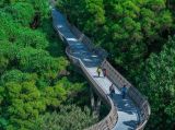 城市森林步道：漫步空中森林的“绿道”
