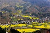 【十九大·理论新视野】学在基层 用在基层 融在基层