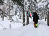 林海雪原：徒步凤凰山国家森林公园