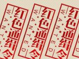 红色通缉令：中国在行动