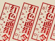 红色通缉令：中国在行动