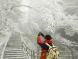【名山大川】黄山：迎来今冬首场降雪