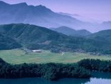 学做“三为”干部，推进改革发展