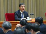 汪洋出席中央农村工作会议并讲话