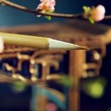 文化博览丨中国传统文化经典与学术情境
