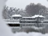 【大美中国】冬韵：雪落人间