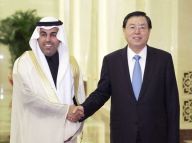 张德江与阿拉伯议会议长举行会谈