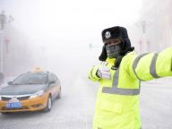 严冬中的城市“卫士”