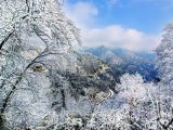 【绝美风光】雪后秦岭：银色紫柏山