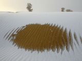 大漠风光：塔克拉玛干沙漠雪景