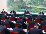 习近平同党外人士座谈并共迎新春