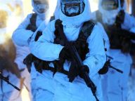 北极哨兵：挺立在风雪中的“极地白杨”