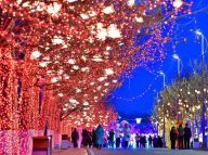 【新春佳节】缤纷灯会醉游人