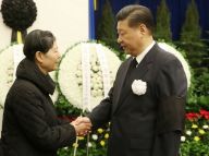 杨汝岱同志遗体在京火化 习近平等前往八宝山送别