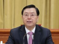 十三届全国人大一次会议预备会议