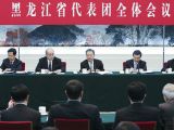 赵乐际参加黑龙江代表团审议
