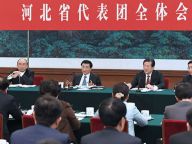 王沪宁参加河北代表团审议