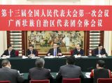 李克强参加广西代表团审议
