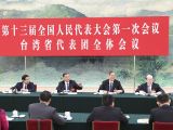 汪洋参加台湾代表团审议