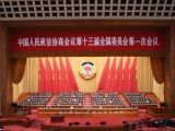 汪洋出席全国政协十三届一次会议第二次全体会议