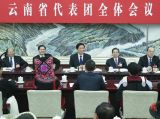 栗战书参加云南代表团审议