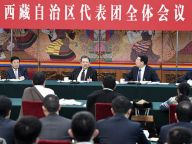 赵乐际参加西藏代表团审议
