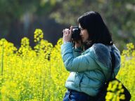 【春暖花开】春光无限好 赏花正当时