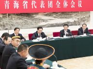 王沪宁参加青海代表团审议