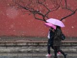 【这里是北京】春雪印象