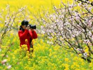 【春暖花开】游园踏春好时节